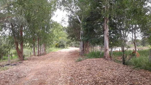 Lote/Terreno à venda, 20000m² no Cordisburgo, Cordisburgo