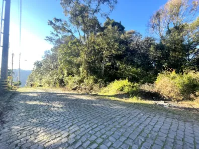 Lote/Terreno à venda, 3846m² no Cruzeiro, Caxias do Sul