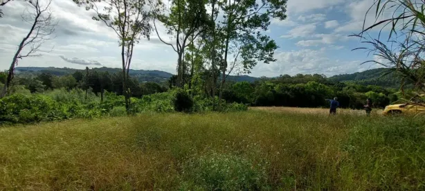 Lote/Terreno à venda, 22000m² no , Nova Petrópolis