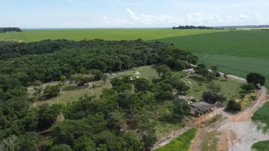 Fazenda/Sítio à venda, 750200m² no , Silvânia