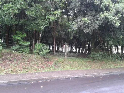 Lote/Terreno à venda, 3546m² no Cruzeiro, Caxias do Sul