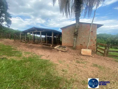 Lote/Terreno à venda, 6m² no Setor Central, Taquaral de Goiás
