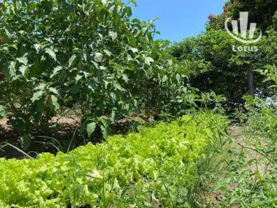 Fazenda/Sítio à venda, 4680000m² no Centro, Bonfim