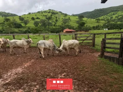 Fazenda/Sítio à venda, 10164000m² no , São Luiz do Norte