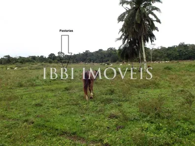 Fazenda/Sítio com 1 Quarto à venda, 24000m² no , Belmonte