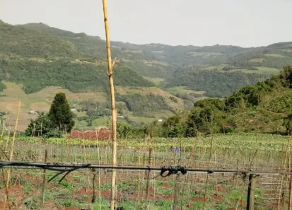 Lote/Terreno à venda, 120000m² no Forqueta Baixa, Vale Real