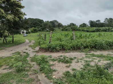 Lote/Terreno à venda, 20000m² no , Fortuna de Minas