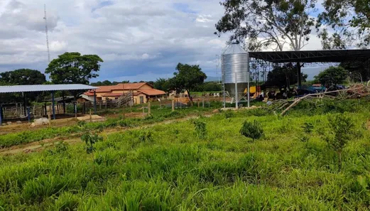 Fazenda/Sítio à venda, 30m² no , Buritis