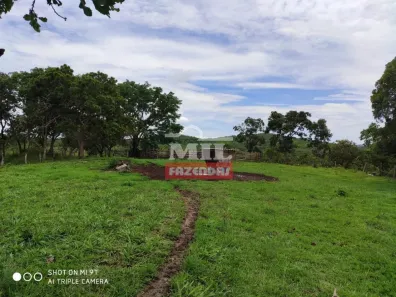 Fazenda/Sítio à venda, 2468000m² no , Jaraguá