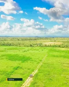 Fazenda/Sítio com 1 Quarto à venda, 625000m² no , Bonfim