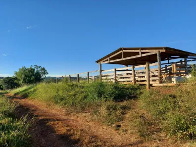 Fazenda/Sítio com 2 Quartos à venda, 64130m² no , Nerópolis