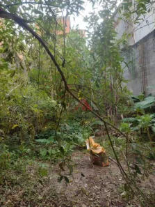 Lote/Terreno à venda, 138m² no Jardim Pinheiro, Poá