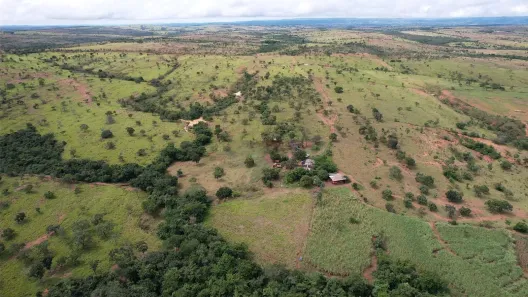 Fazenda/Sítio com 4 Quartos à venda, 1220000m² no , Cabeceira Grande