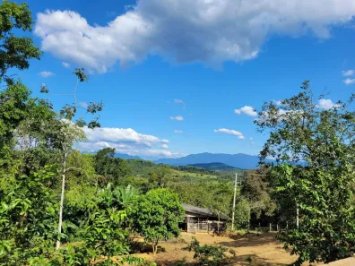 Fazenda/Sítio com 3 Quartos à venda, 100000m² no Antonina, Antonina