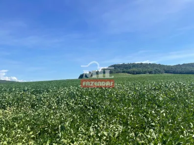 Fazenda/Sítio à venda, 500m² no , São Francisco de Goiás