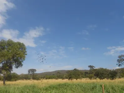 Fazenda/Sítio com 6 Quartos à venda, 14000000m² no Centro, Buenópolis