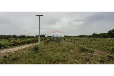Fazenda/Sítio à venda, 1400000m² no Centro, Caravelas