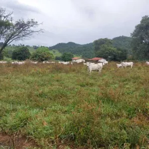 Fazenda/Sítio com 2 Quartos à venda, 100m² no , Itaberaí