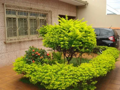 Casa com 4 Quartos à venda, 374m² no Centro, Araraquara