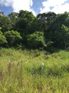 Lote/Terreno à venda, 2000m² no Centro, Simões Filho
