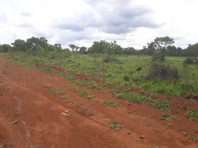 Lote/Terreno à venda, 20000m² no , Araçaí