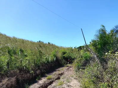 Fazenda/Sítio com 3 Quartos à venda, 1890000m² no , Coroatá