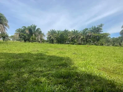 Fazenda/Sítio com 3 Quartos à venda, 72600m² no Área Rural de Inhumas, Inhumas