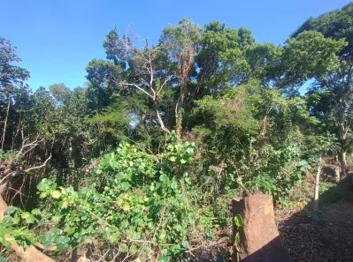 Lote/Terreno para venda ou aluguel, 60000m² no Vila Valqueire, Rio de Janeiro