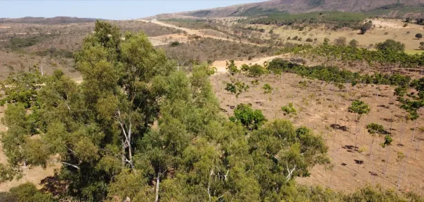 Lote/Terreno à venda, 20012m² no , Cordisburgo