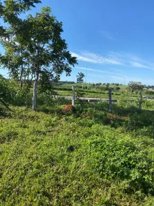 Fazenda/Sítio à venda, 134500m² no Setor Central, Guapó