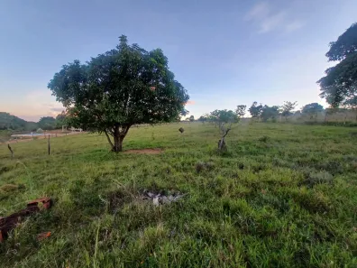 Fazenda/Sítio com 2 Quartos à venda, 5000m² no Área Rural de Brazlândia, Brasília
