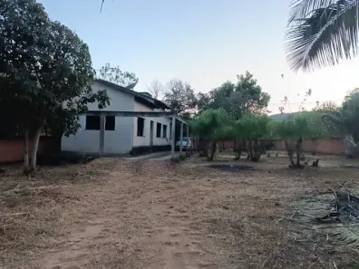 Fazenda/Sítio com 2 Quartos à venda, 1440m² no Área Rural de Palmas, Palmas
