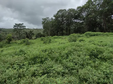 Lote/Terreno à venda, 20000m² no , Fortuna de Minas