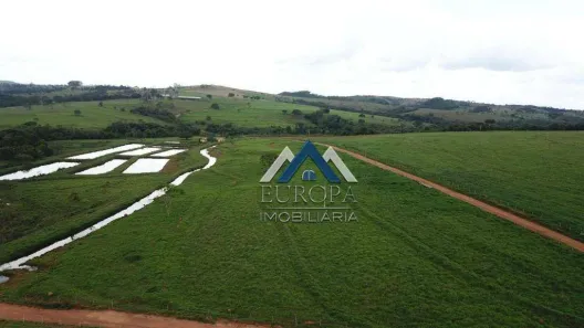 Fazenda/Sítio com 5 Quartos à venda, 9849400m² no Goiás, Goiás