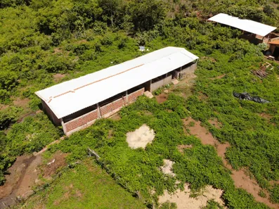 Fazenda/Sítio com 3 Quartos à venda, 124000000m² no Centro, Campo Maior