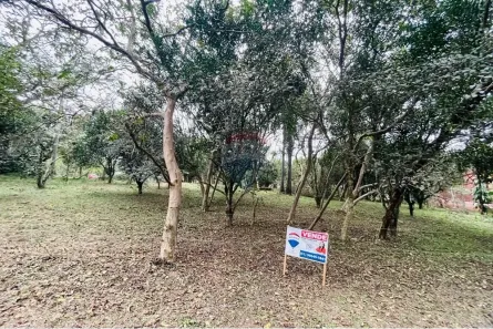 Lote/Terreno à venda, 1075m² no Centro, Nova Santa Rita