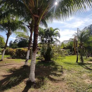 Lote/Terreno à venda, 150m² no Loteamento Bosque Ponta da Areia, Itaparica