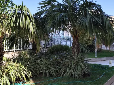 Apartamento com 1 Quarto para alugar, 46m² no Federação, Salvador