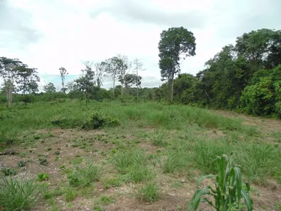 Lote/Terreno à venda, 230000m² no Puraquequara, Manaus