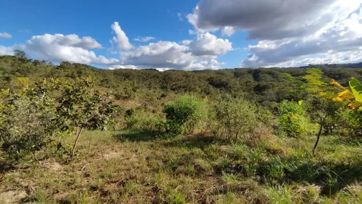 Fazenda/Sítio à venda, 20000m² no , Brasília