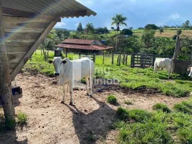 Fazenda/Sítio com 2 Quartos à venda, 96000m² no Zona Rural, Goianápolis