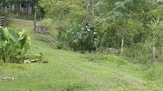Fazenda/Sítio com 2 Quartos à venda, 196m² no , Caraá