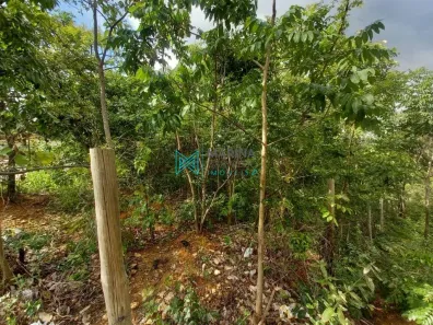 Lote/Terreno à venda, 366m² no Portal do Sol, Lagoa Santa