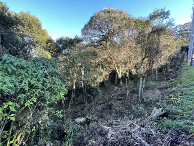 Lote/Terreno à venda, 389m² no Cruzeiro, Caxias do Sul