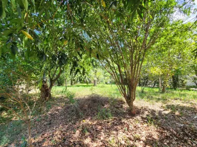 Lote/Terreno à venda, 589m² no Centro, Vera Cruz