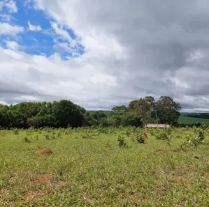 Fazenda/Sítio com 5 Quartos à venda, 2710400m² no , Silvânia