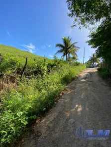 Lote/Terreno à venda, 5000m² no Comunidade Urbana de Jaboti, Guarapari