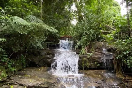 Fazenda/Sítio com 2 Quartos à venda, 70m² no Sana, Macaé