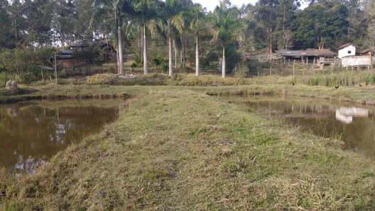 Fazenda/Sítio com 4 Quartos à venda, 52000m² no Centro, Formiga