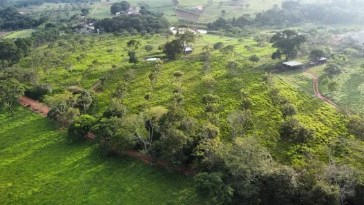 Fazenda/Sítio com 5 Quartos à venda, 24m² no Área Rural de Inhumas, Inhumas